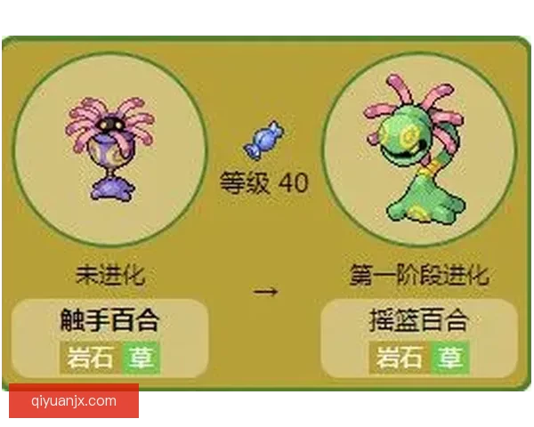 口袋妖怪黑白终极攻略手册精灵图鉴与战术指南全面对策与培养详解